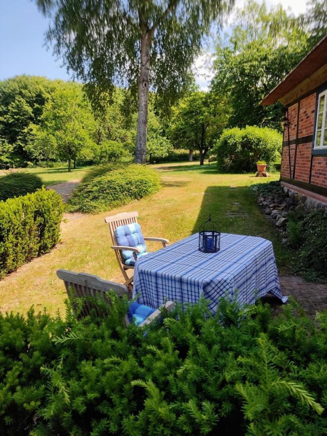 Chalet Forsthof Everstorf - Kleine Wohnung Ґревесмюлен Екстер'єр фото